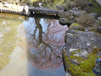 �}������̎ʐ^�W