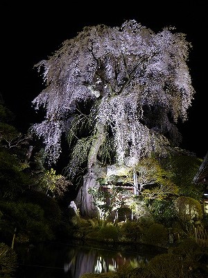 ���̊J�Ԃ���� 2016