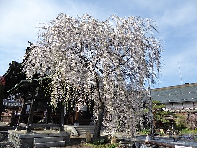 ���̊J�Ԃ���� 2016