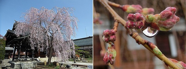 �}������̎ʐ^�W