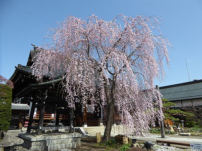 ���̊J�Ԃ���� 2016