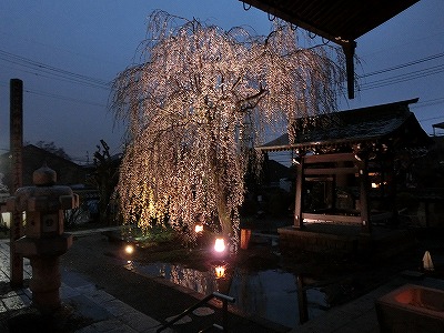 ���̊J�Ԃ���� 2015