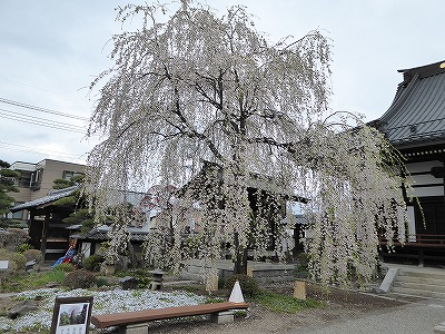 ���̊J�Ԃ���� 2016