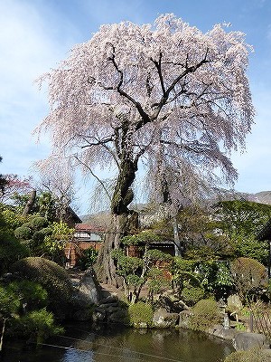 ���̊J�Ԃ���� 2016