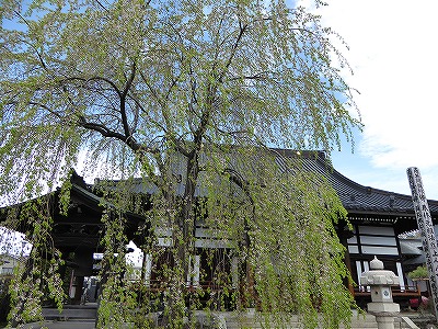 ���̊J�Ԃ���� 2016