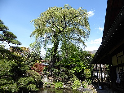 ���̊J�Ԃ���� 2016