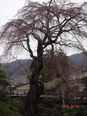 ���̊J�Ԃ���� 2016