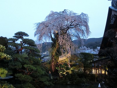 ���̊J�Ԃ���� 2015