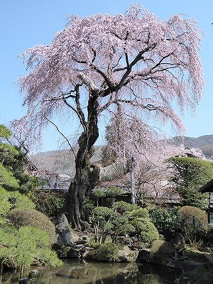 ���̊J�Ԃ���� 2016