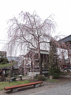 ���̊J�Ԃ���� 2014