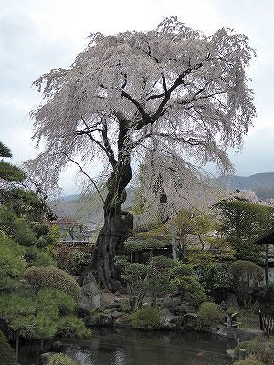 ���̊J�Ԃ���� 2016