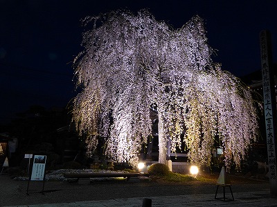 ���̊J�Ԃ���� 2016