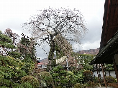 ���̊J�Ԃ���� 2014