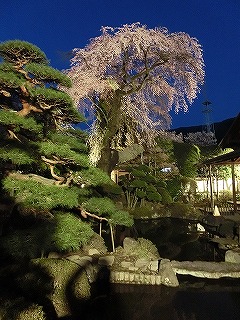 ���̊J�Ԃ���� 2014