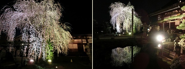 �}������̎ʐ^�W