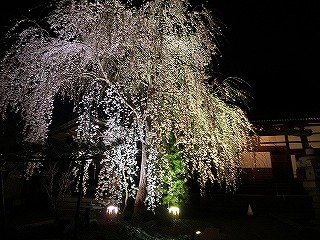 ���̊J�Ԃ���� 2014