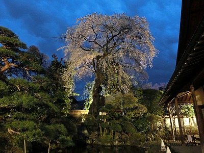 ���̊J�Ԃ���� 2014