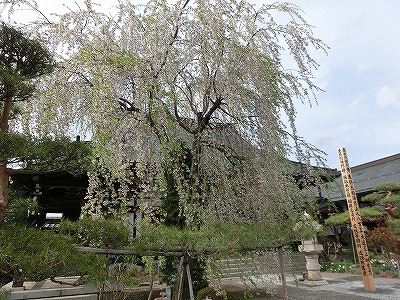 ���̊J�Ԃ���� 2014