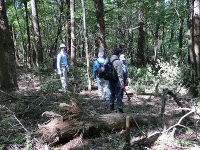 ��ȔN�ԍs���ʐ^�W