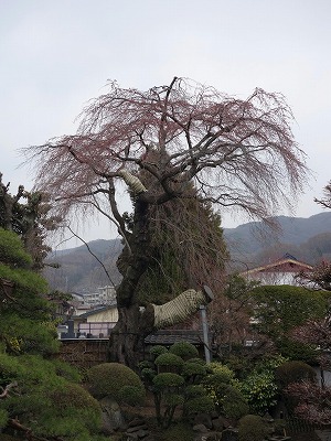 ���̊J�Ԃ���� 2014