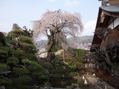 ���̊J�Ԃ���� 2014