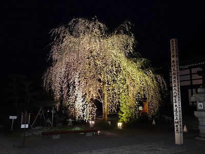 ���̊J�Ԃ���� 2014