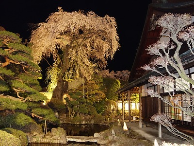 ���̊J�Ԃ���� 2014