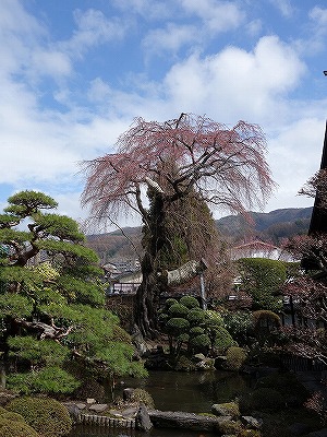 ���̊J�Ԃ���� 2015