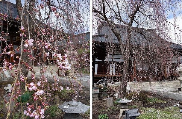 ���̊J�Ԃ���� 2015