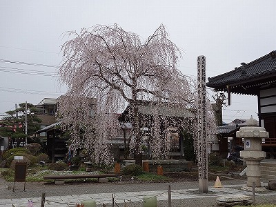 ���̊J�Ԃ���� 2015