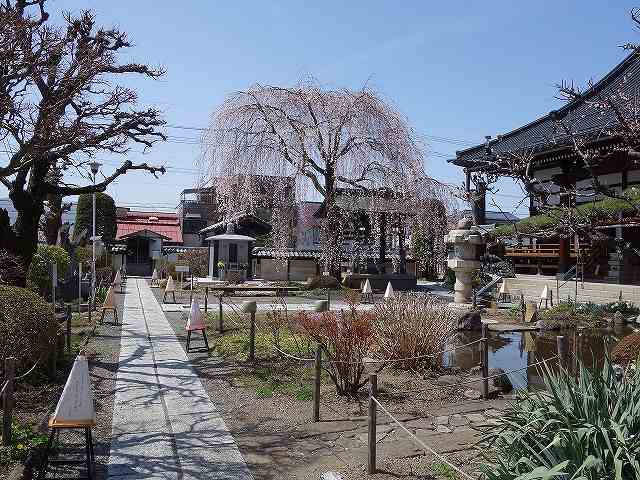 ���̊J�Ԃ���� 2021