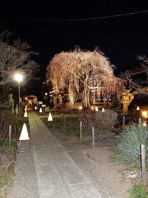 ���̊J�Ԃ���� 2021