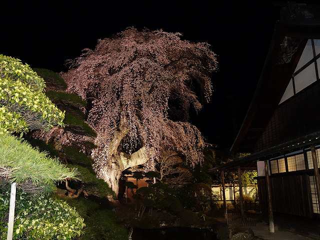 ���̊J�Ԃ���� 2021