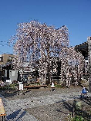 ���̊J�Ԃ���� 2018