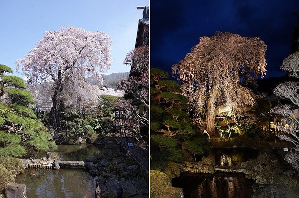 ���̊J�Ԃ���� 2018