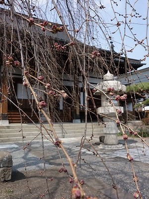 ���̊J�Ԃ���� 2019