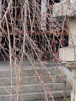 ���̊J�Ԃ���� 2020