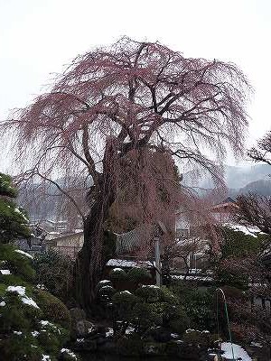 ���̊J�Ԃ���� 2020