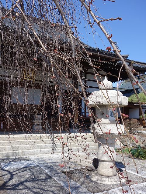 <�������><noscript><img src=