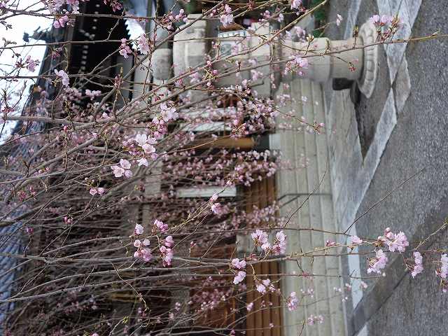 <�叼�@ �������><noscript><img src=