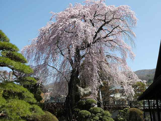 ���̊J�Ԃ���� 2022