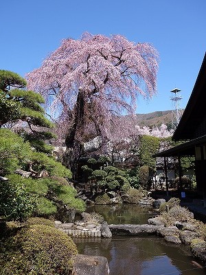 ���̊J�Ԃ���� 2019