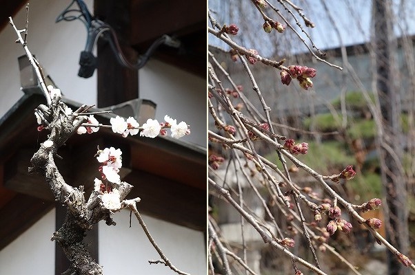 ���̊J�Ԃ���� 2018