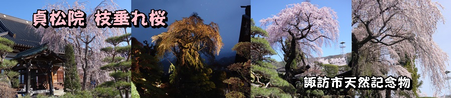 ���̊J�ԕւ�i�N�x�ʁj